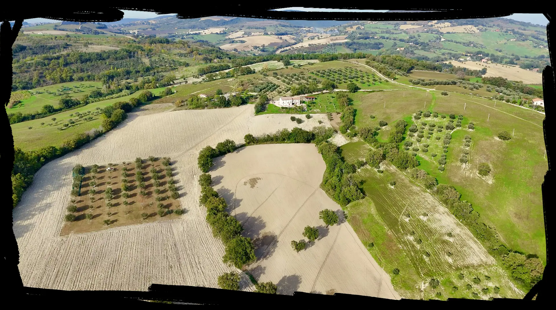 Viva Cento olive farm in Le Marche, Italy