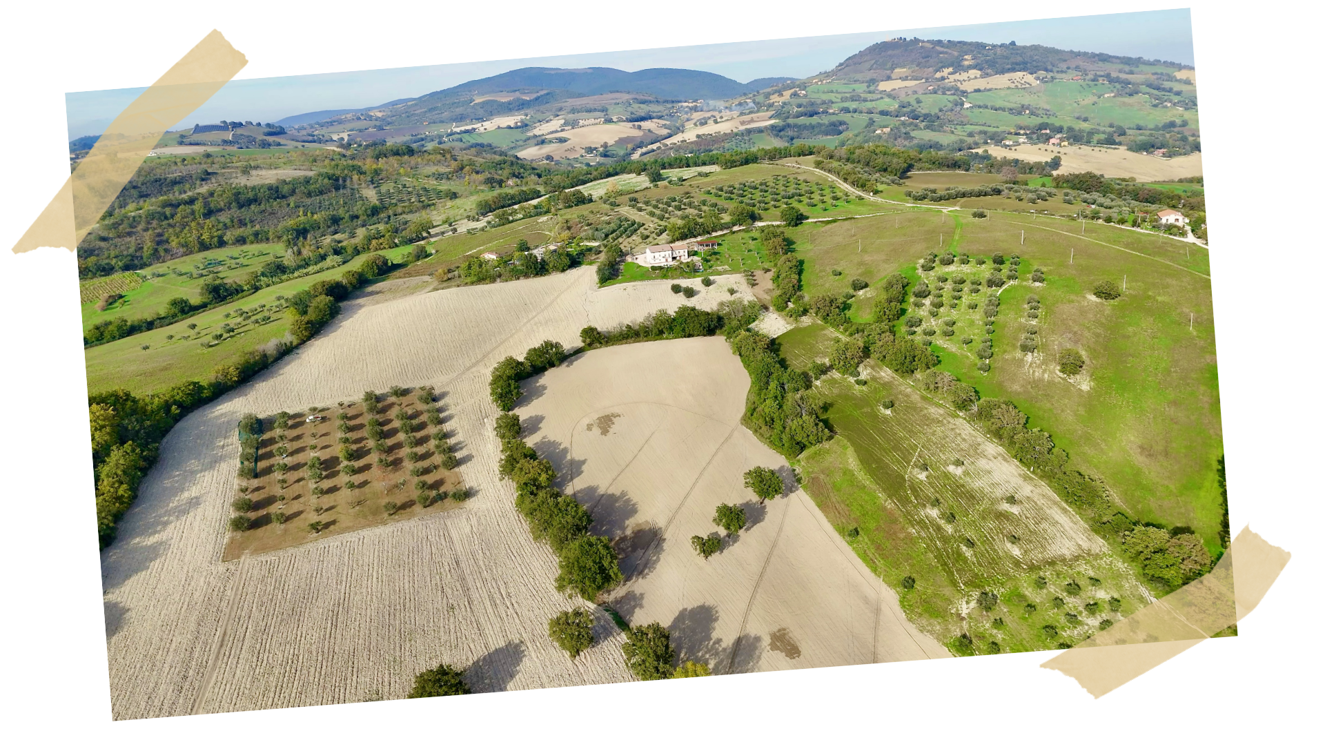 Viva Cento farm - with masking tape