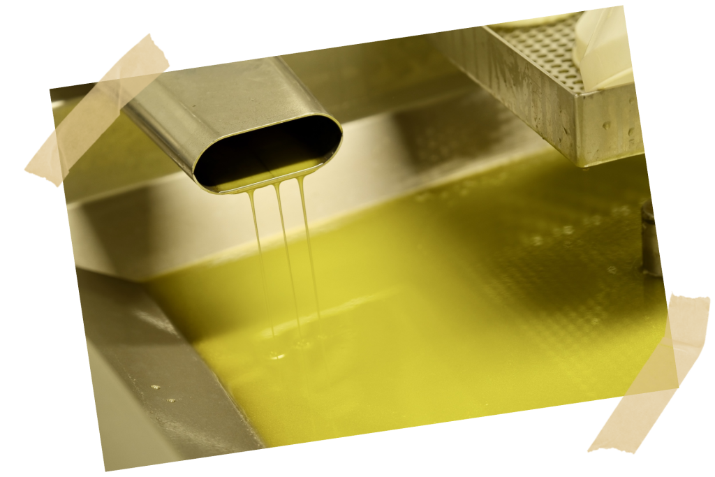 pressed olive oil with masking tape
