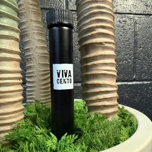 Viva Cento - Daily olive oil shot (5-pack)